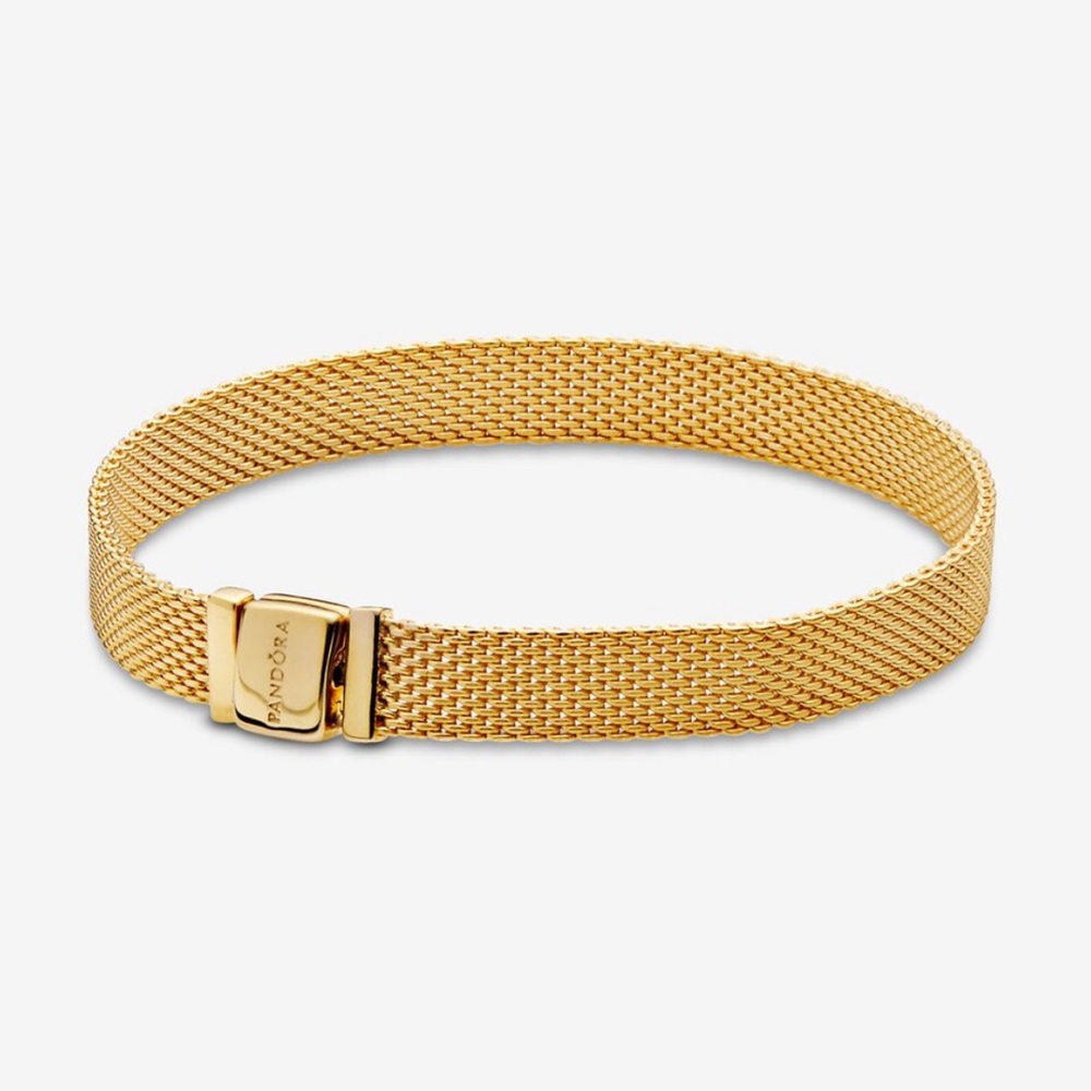 Pandora reflexions mesh bracelet